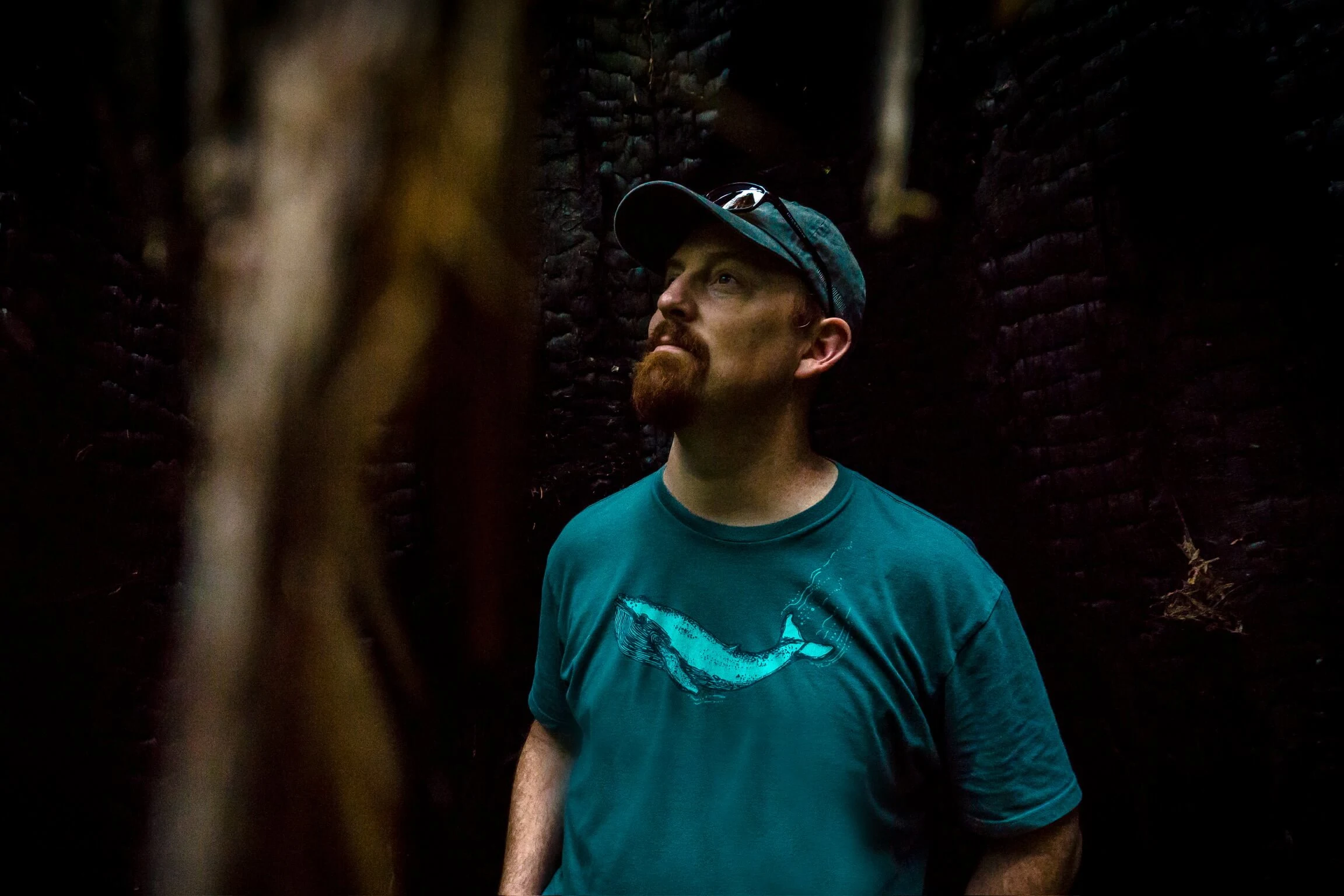 Tor Imsland in the woods
