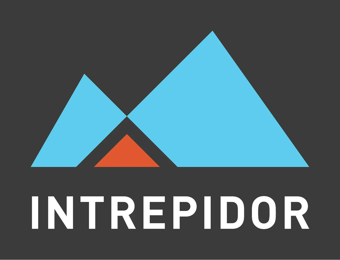 Intrepidor personal brand logo on dark background
