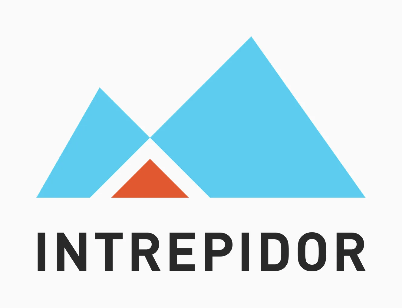 Intrepidor personal brand logo on light background